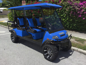 cypress lake golf cart repair, golf cart service, mobile repair