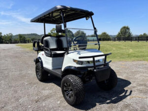 star golf cart, street legal golf cart rental, prime cart rentals
